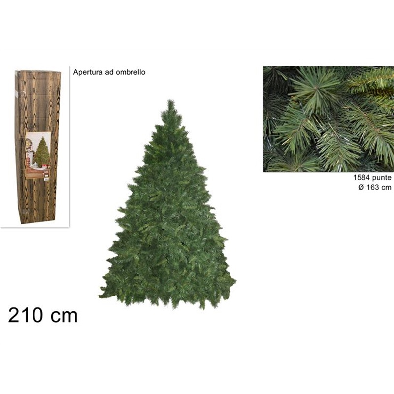 Pino Himalaya 210 Cm