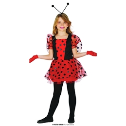 Costume Coccinella 5/6 anni