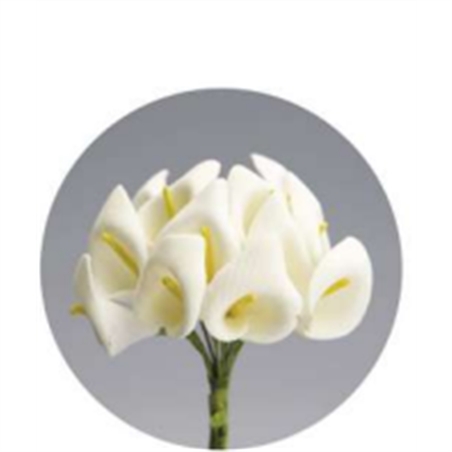 Calle Per Bomboniera 