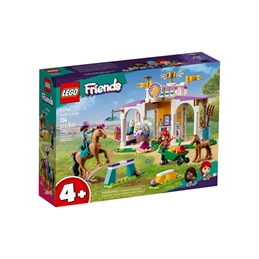 Addestramento equestre