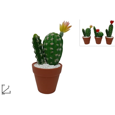 Piantina In Ceramica Cactus