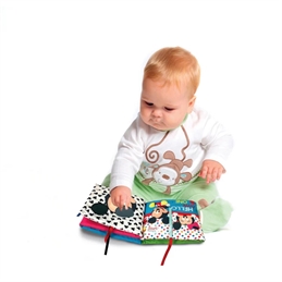 Disney Baby Soft Book