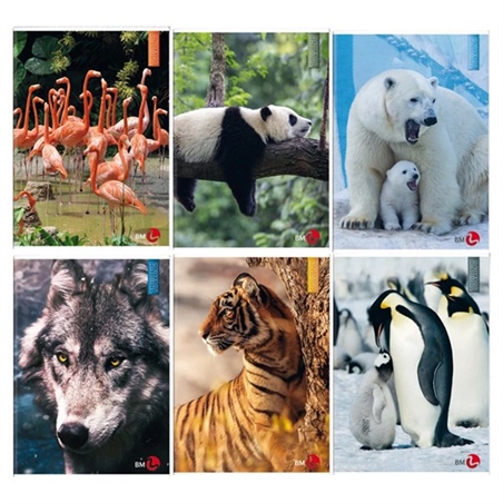 Maxiquaderno Animal fantasia 