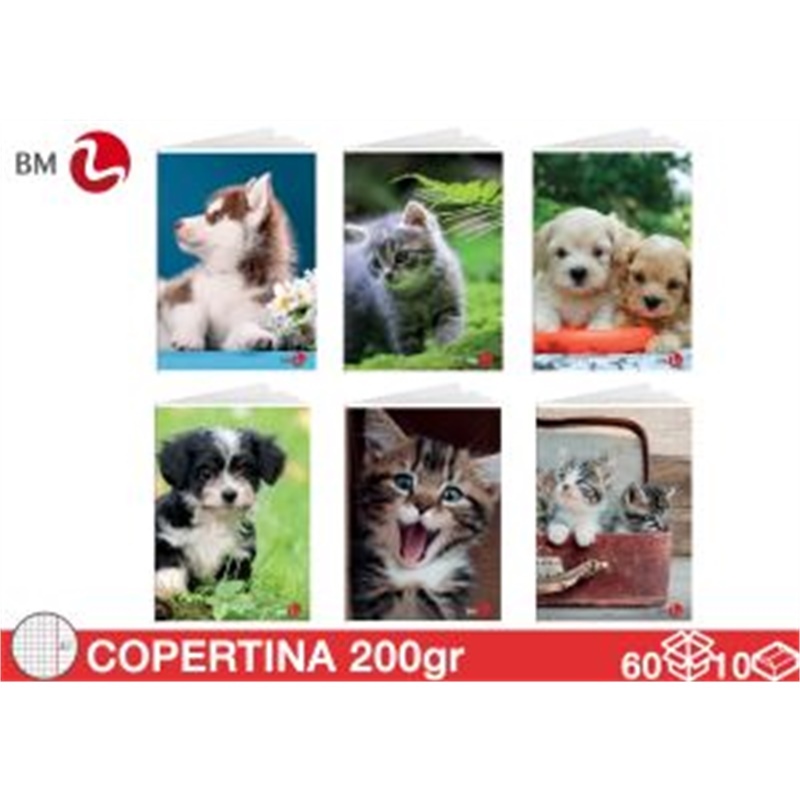 Maxi Quaderno Animali Bimbo 4F