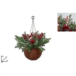 Palla Appendini Con Canditi 60 Cm