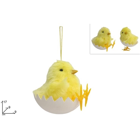 Appendino Pulcino 