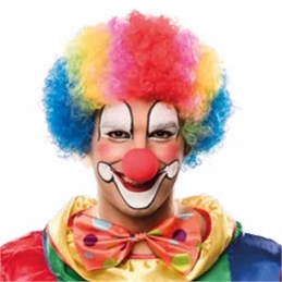 Parrucca Riccia da Clown Multicolore