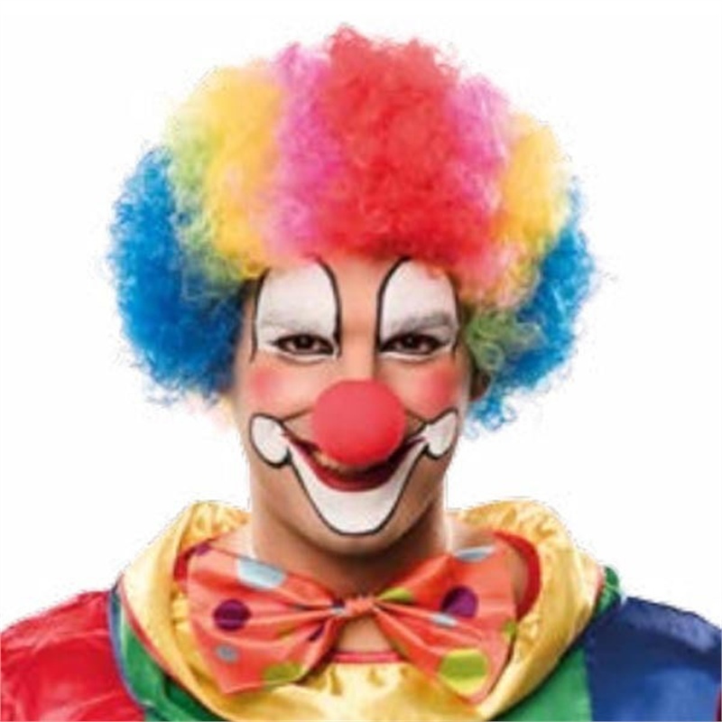Parrucca Riccia da Clown Multicolore