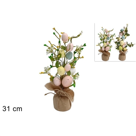 Pianta Pasquale Con Vaso