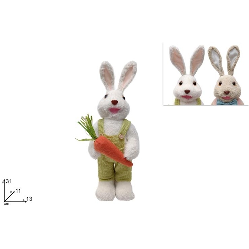 Coniglio Con Pelliccia E Carota