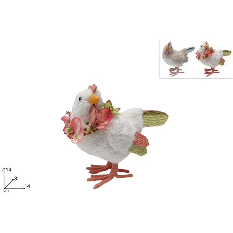 Gallina Con Pelliccia