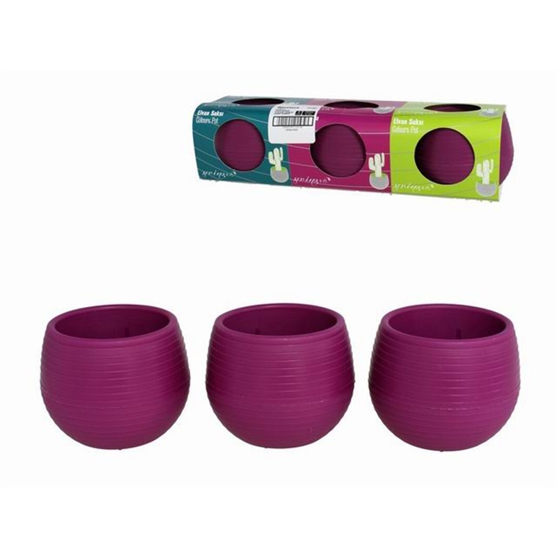 Set 3 Vasi Per Piantine Grasse 6 x 6