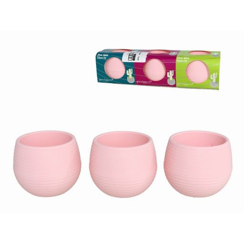 Set 3 Vasi Per Piantine Grasse 6 x 6
