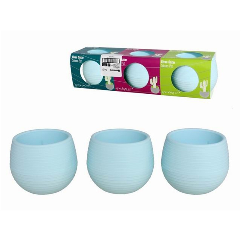 Set 3 Vasi Per Piantine Grasse 6 x 6