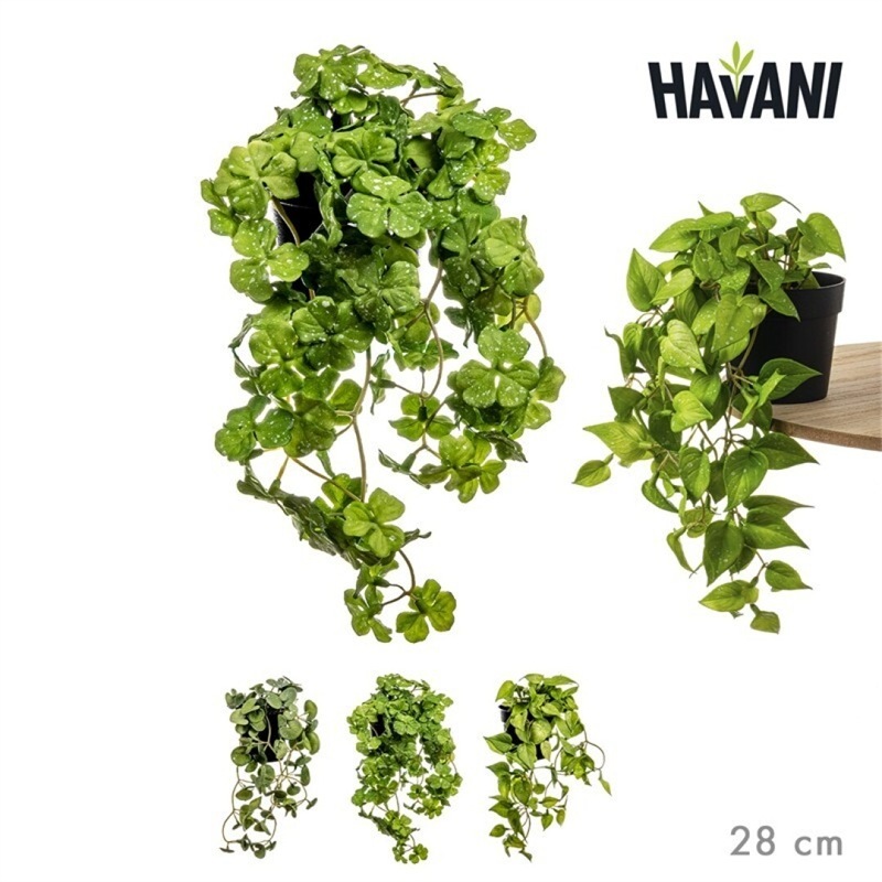 Pianta rampicante artificiale assortita