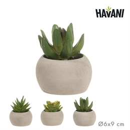 Vasetto Con Pianta Grassa Artificiale 6x9 cm