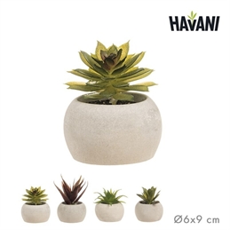 Vasetto Con Piante Grasse Artificiali 6x9 cm