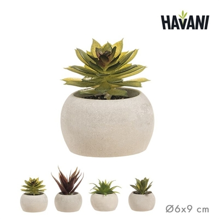 Vasetto Con Piante Grasse Artificiali 6x9 cm