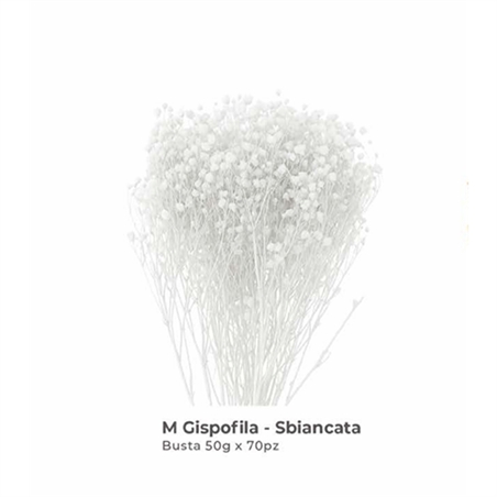 Mazzetto Gypsofhila Bianco