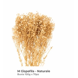 Mazzetto Gypsofhila Colore Naturale