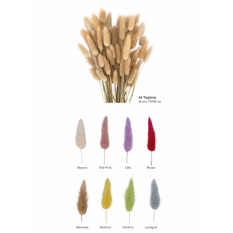 Mazzetto Coda Di topo Diversi Colori