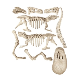 Archeogiocando t rex