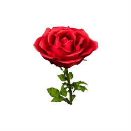 Rosa Diametro 50 Cm Con Stelo H 100 Rossa