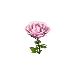Rosa Diametro 75 Cm Con Stelo H 100 Old Pink