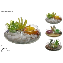 Pianta Grassa Con Vaso In Vetro 14,5 Cm x 6 Cm