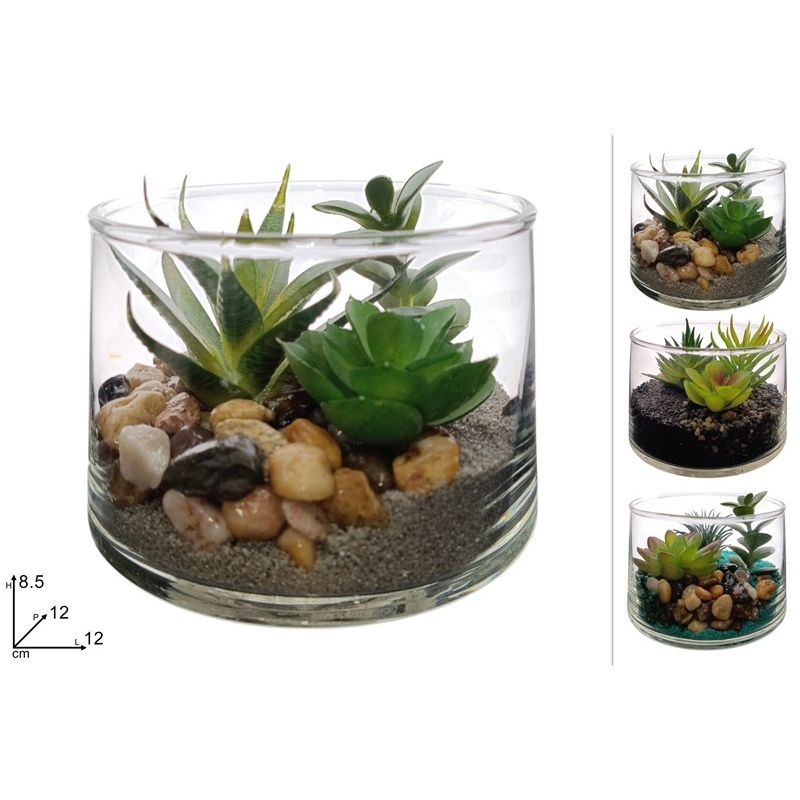 Pianta Grassa Con Vaso In Vetro 12 Cm x 8,5 Cm