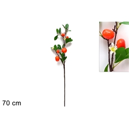 Ramo 5 Mandarini 70 Cm