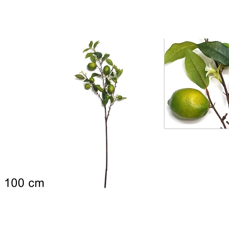 Ramo 9 Limoni Verdi 1 Metro 