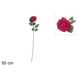 Stelo Rosa Rossa 50 Cm 