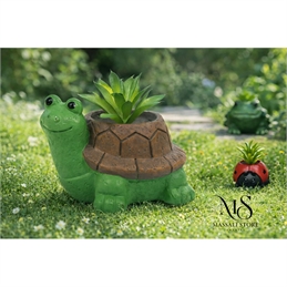 Pianta Grassa Con Animaletti