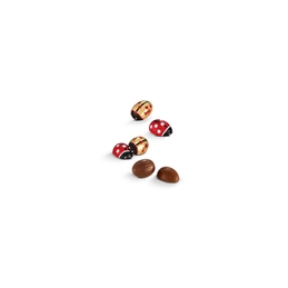 CIOCCOLATINI COCCINELLE LATTE