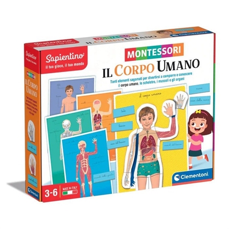 Montessori Corpo Umano