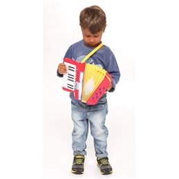 Fisarmonica a 17 tasti con tracolla