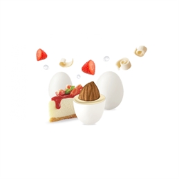 Maxtris Cheesecake