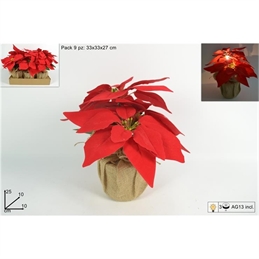 PIANTINA STELLA DI NATALE IN SACCHETTO JUTA CON LUCE LED BATTERIA