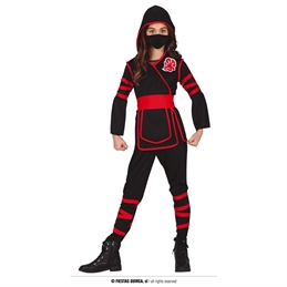 Costume Ninja
