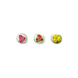 Cornetto Rosa - Fiori diretti