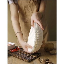 Pirottini Friggitrice Ad Area