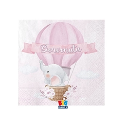 20 Tovaglioli 25 x 25 cm Benvenuta