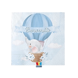 20 Tovaglioli 25 x 25 cm Benvenuto