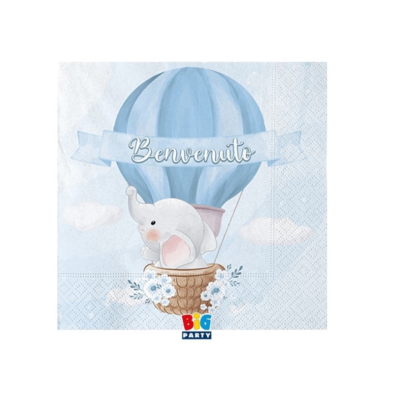 20 Tovaglioli 25 x 25 cm Benvenuto