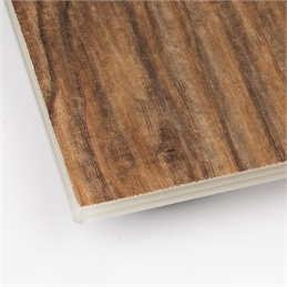 Bilancia pesapersona elettronica