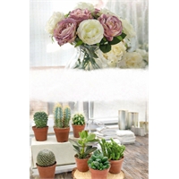Fiori Artificiali E Piante Grasse